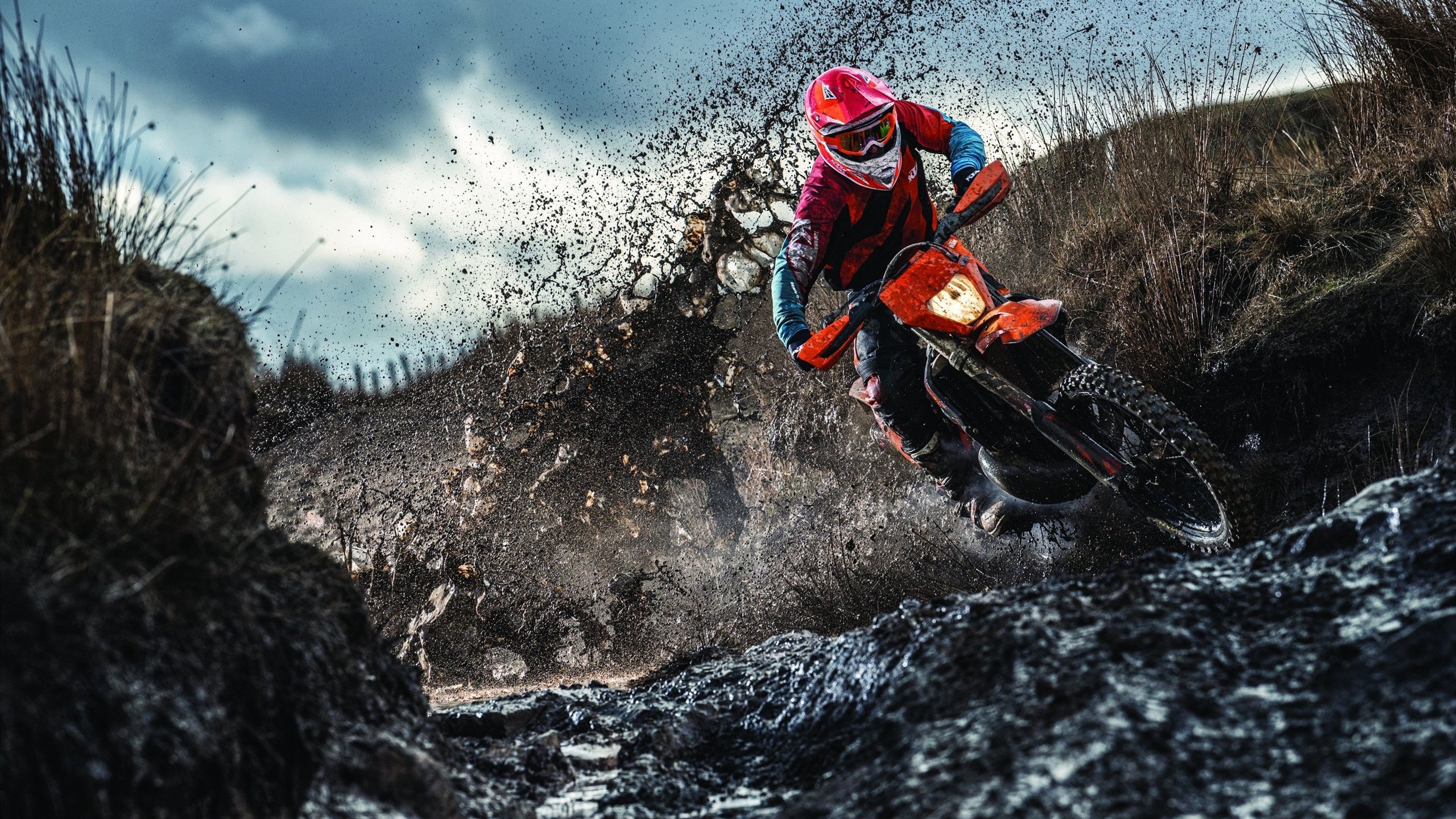 九游-网球公开赛观众人数突破历史记录，网球公开赛多久一次  第2张